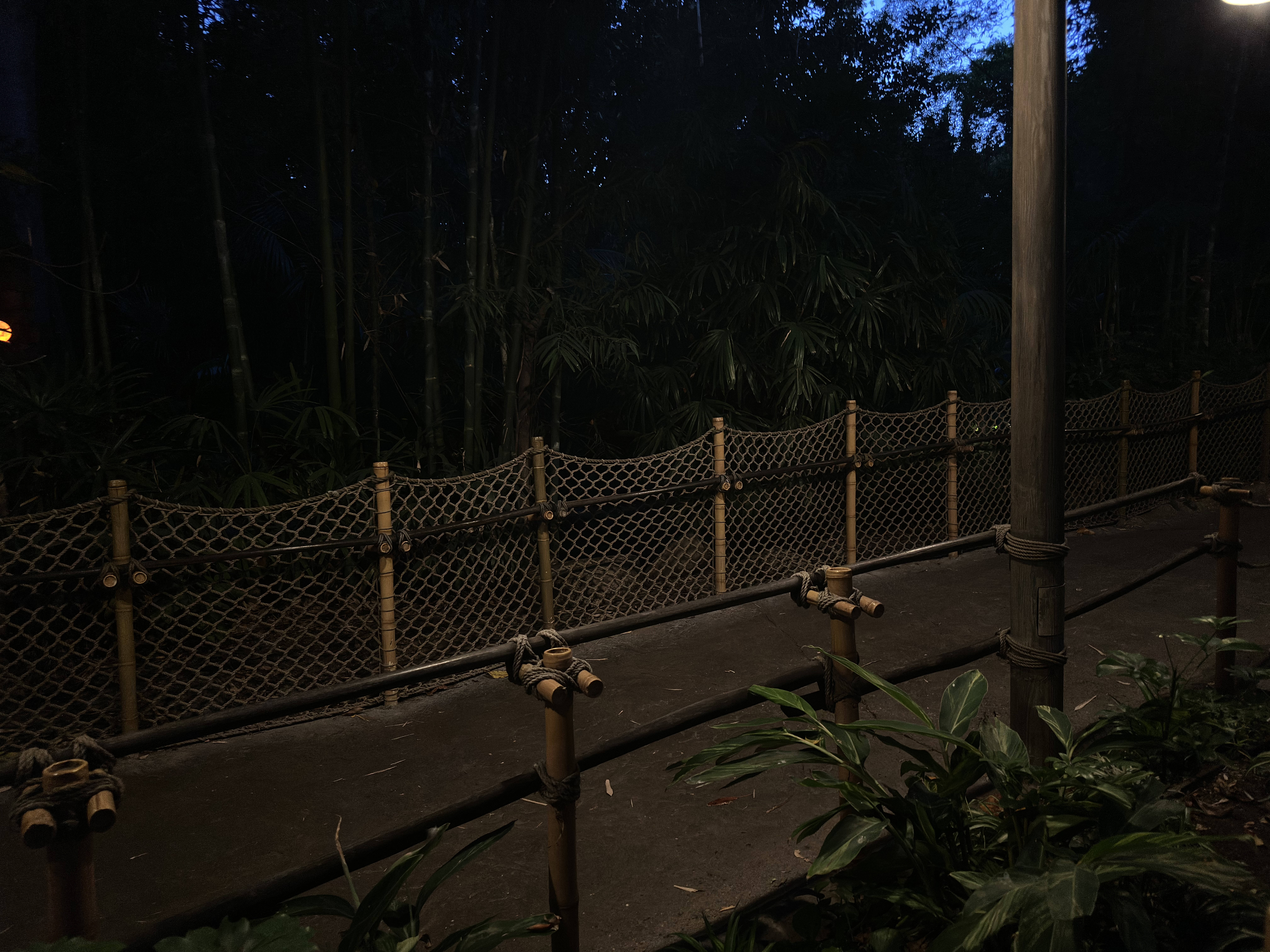 Disneyland Series IX