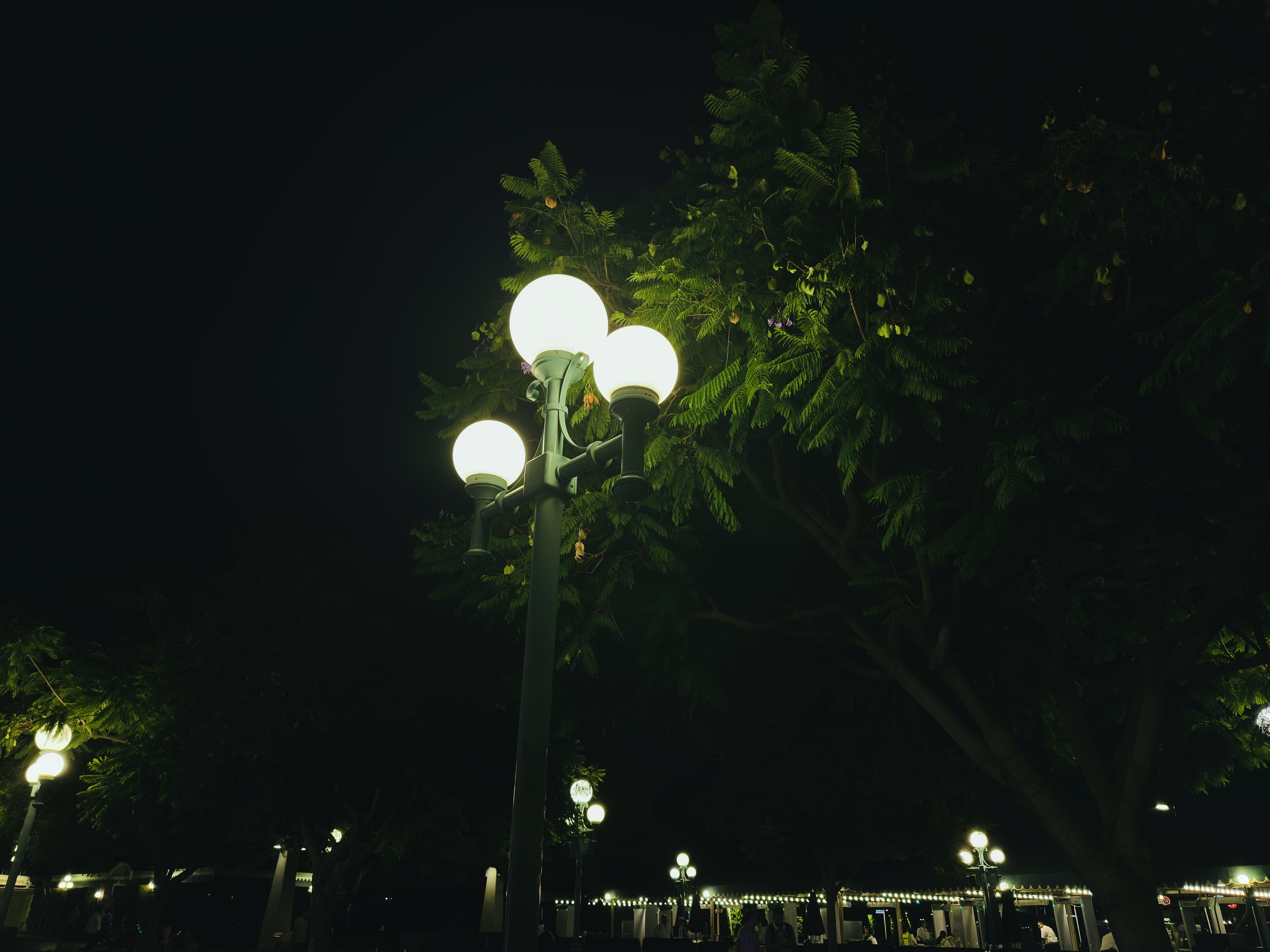 Disneyland Series VII