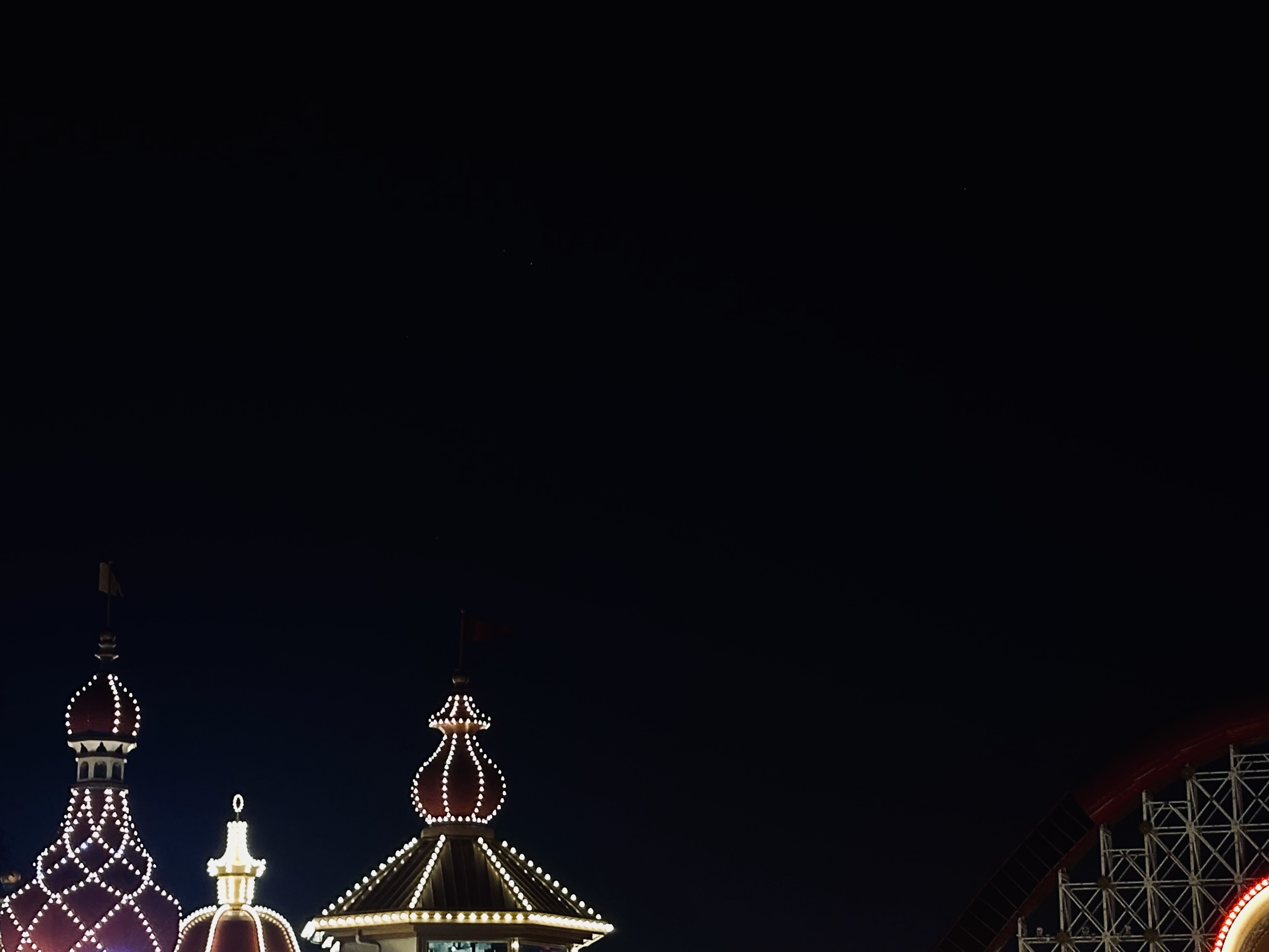 Disneyland Series V