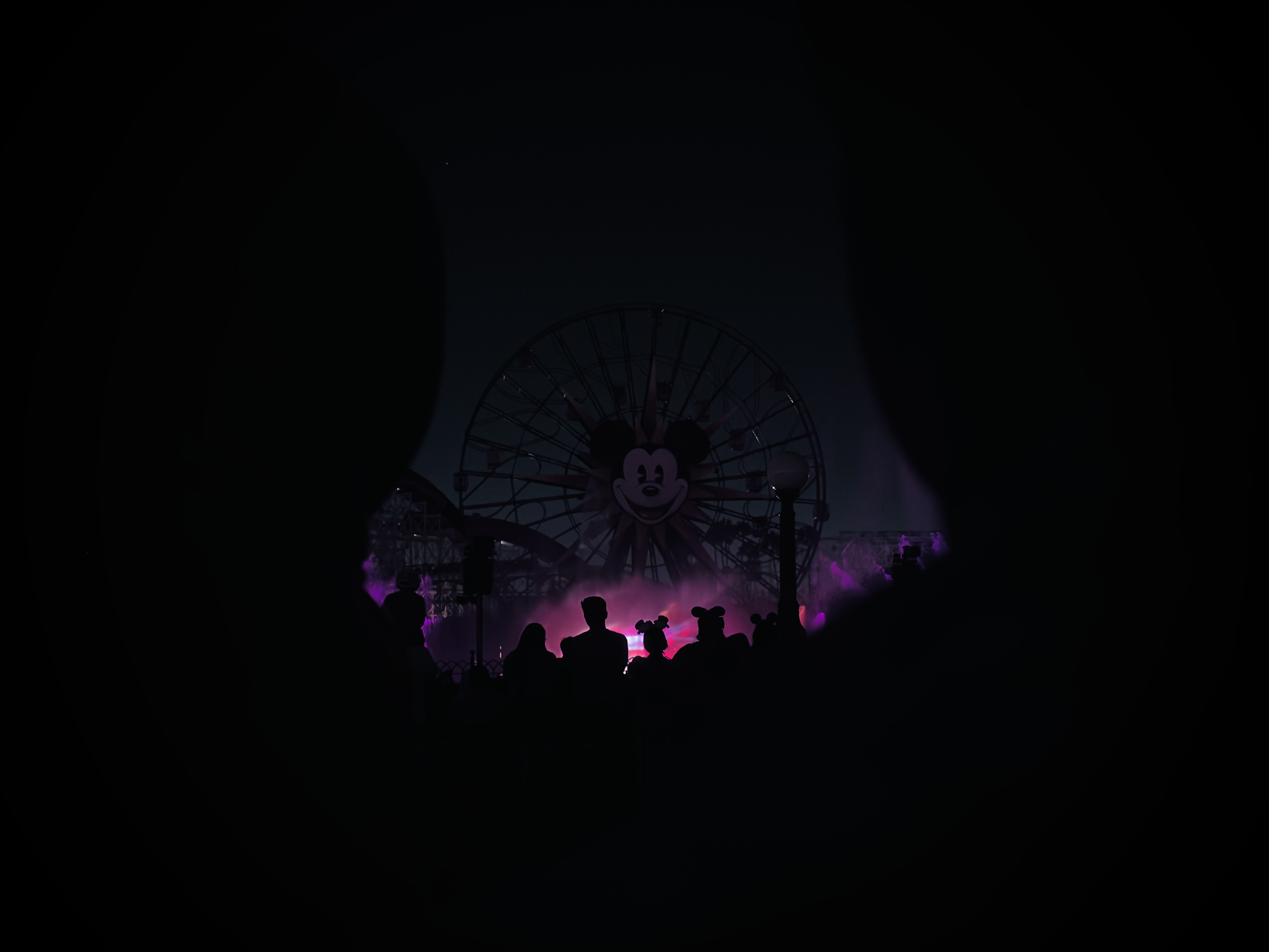 Disneyland Series III