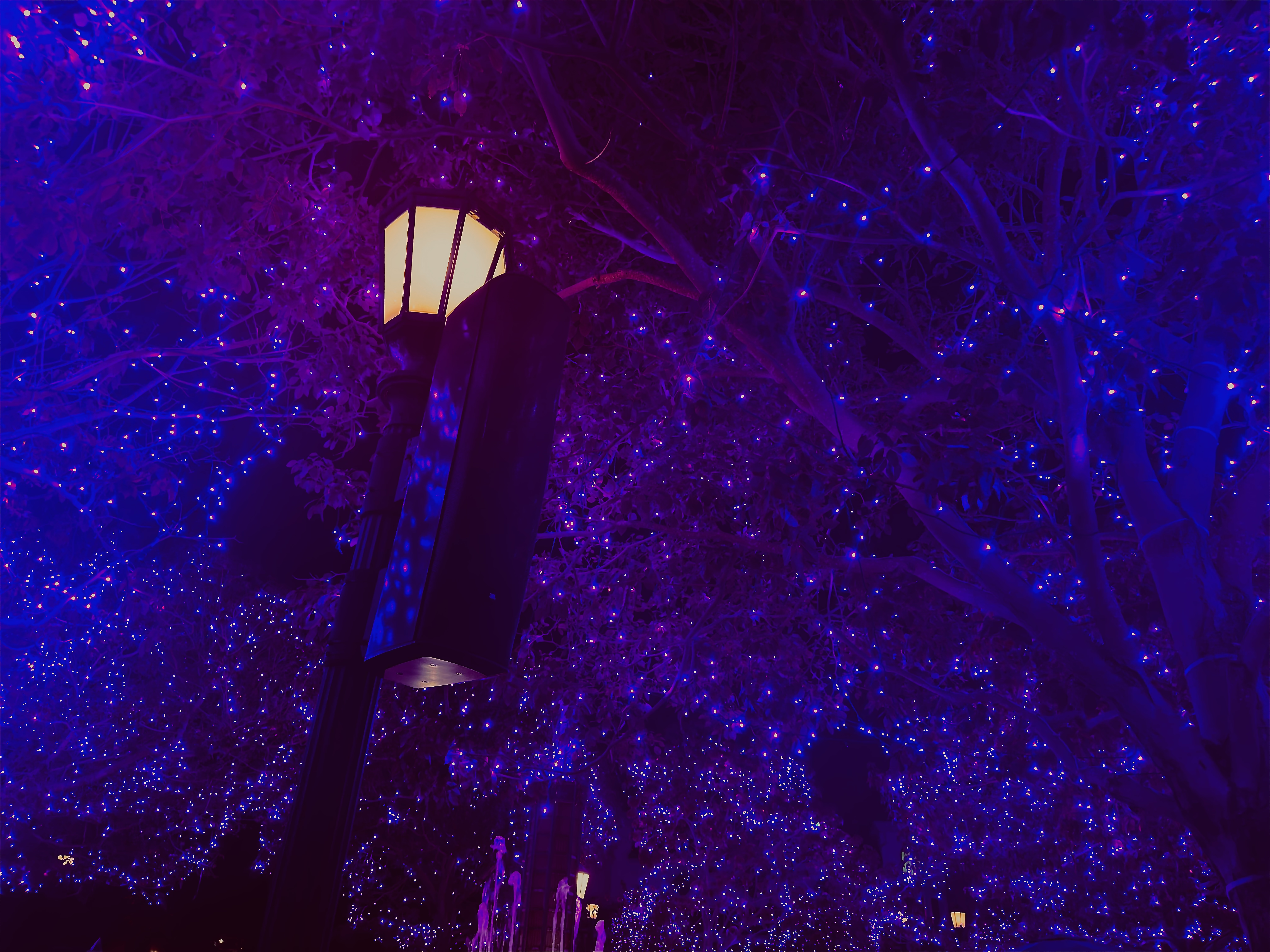 Disneyland Series II