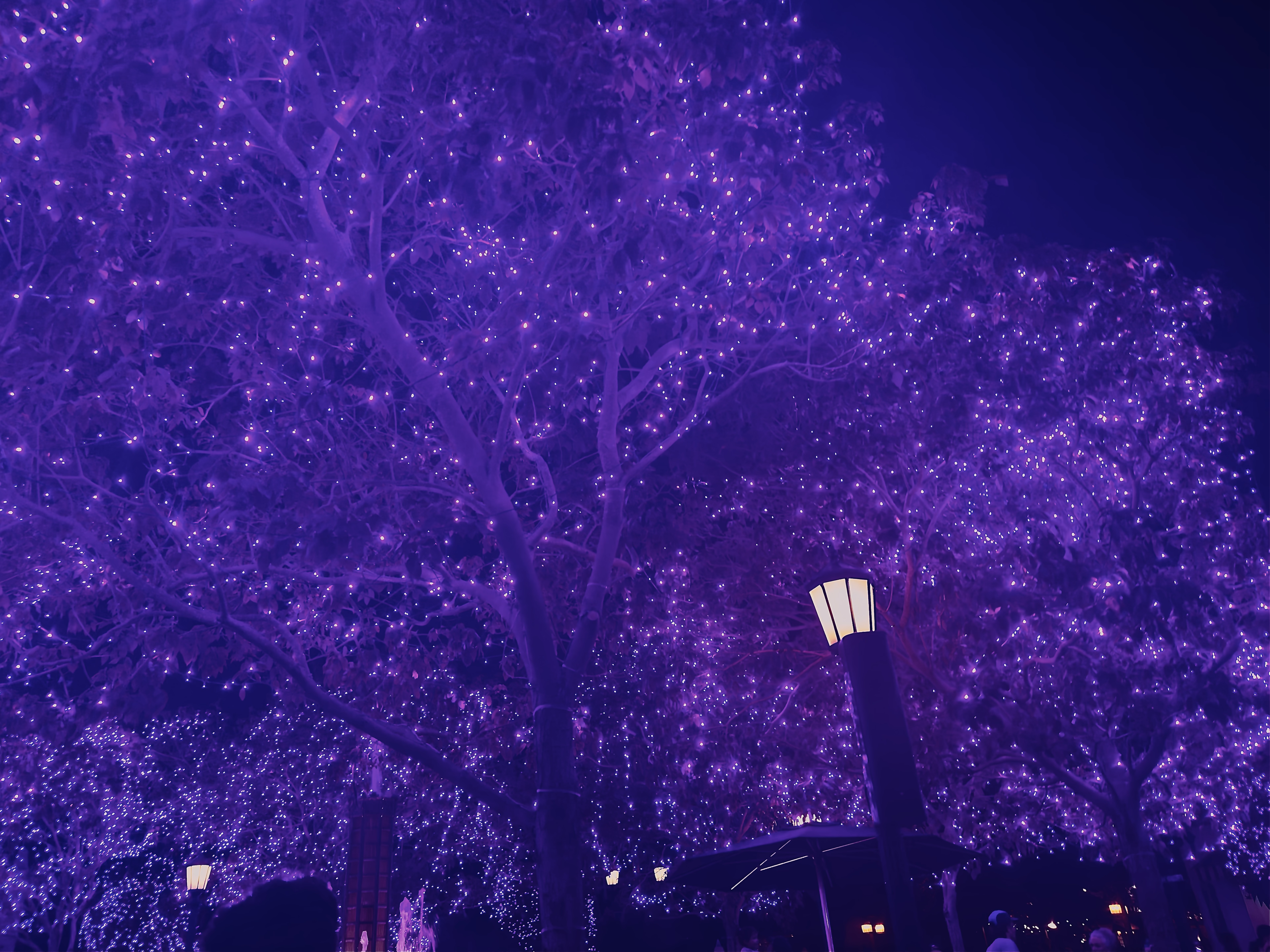 Disneyland Series I